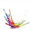 Image Feed